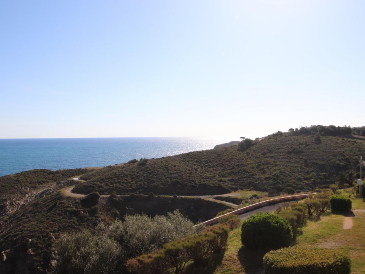 Banyuls-Sur-Mer, T2 Avec Wifi, Terrasse Et Parking - Fr-1-309-259 Exterior foto